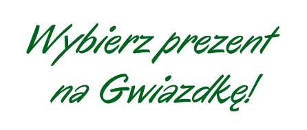 Wybierz prezent na gwiazdkę